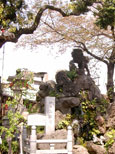 神田明神4