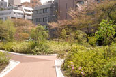 神田明神・屋上庭園
