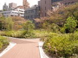 神田明神・空中庭園2