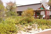 神田明神・屋上庭園
